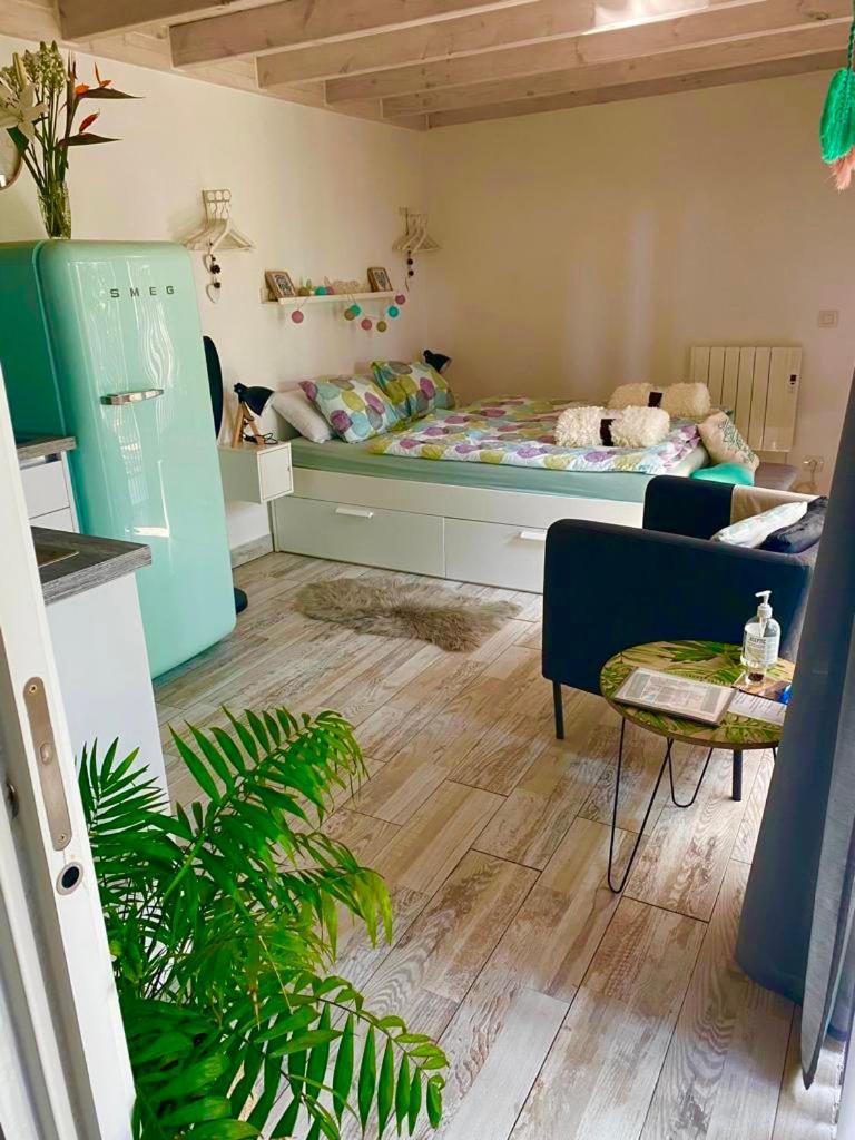 Estudio Lissy Jedey Exteriör bild